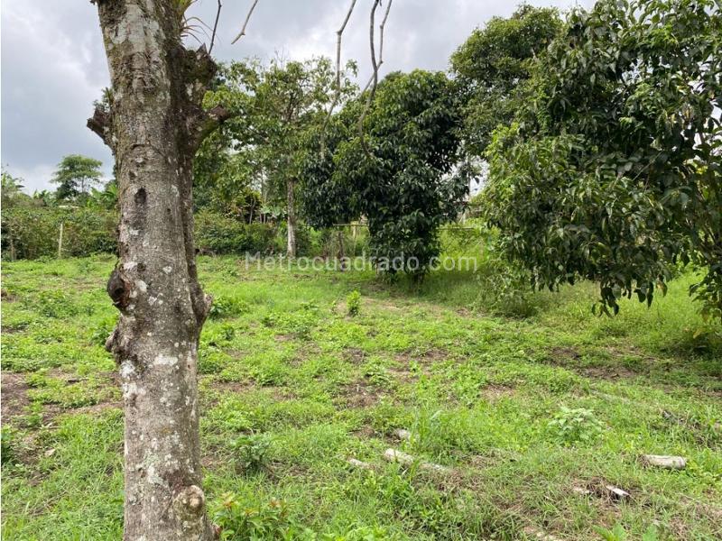 Lote en Venta, Mundo Nuevo, Pereira - Vista 4
