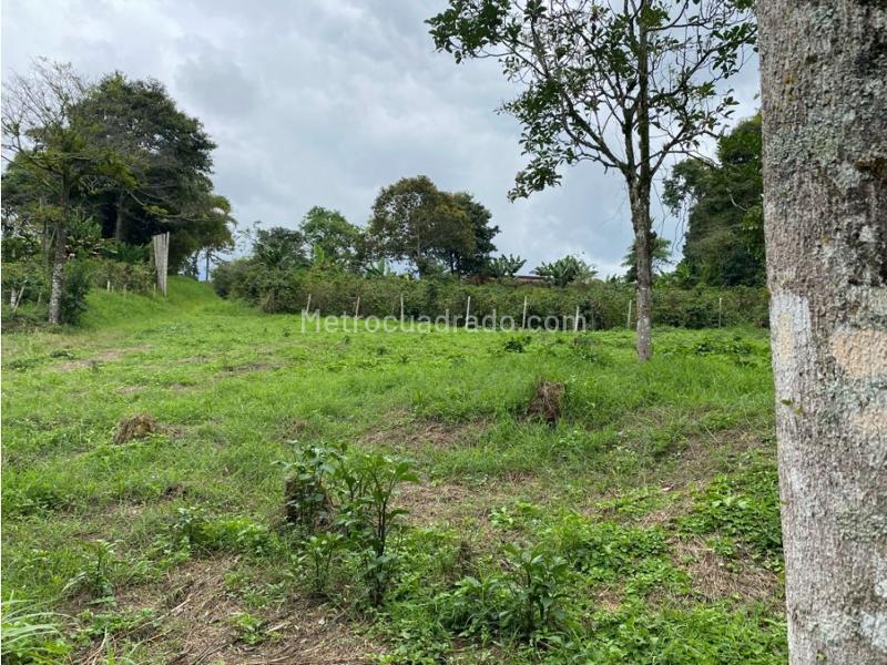 Lote en Venta, Mundo Nuevo, Pereira - Vista 5