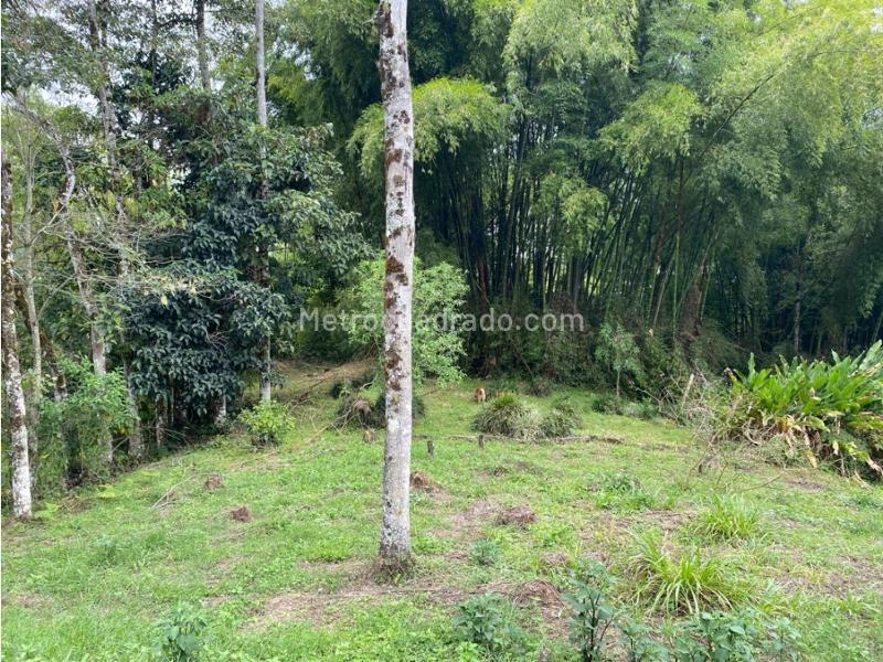 Lote en Venta, Mundo Nuevo, Pereira - Más