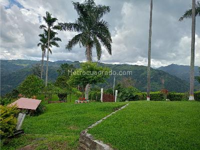 Casa de 4 alcobas en venta en Cuchilla Del Salado, Manizales, 225 m² · foto 2 de 20