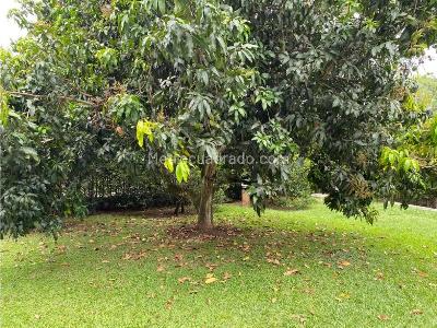 Casa en venta en Cerritos, Pereira · foto 3 de 20