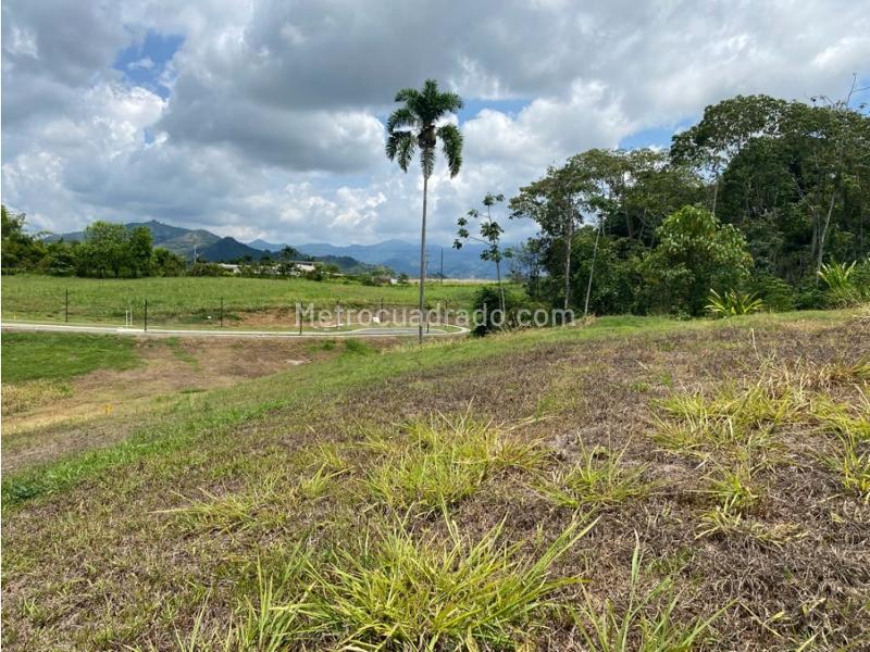 Lote en Venta, Cerritos, Pereira - Vista 2