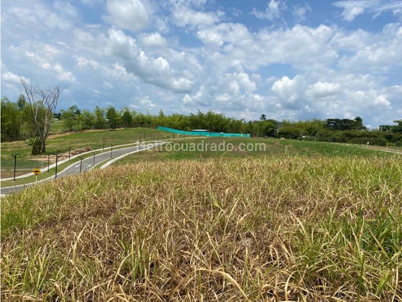 Lote en Venta, Cerritos, Pereira - Vista 3