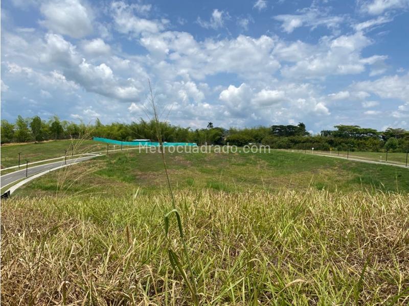 Lote en Venta, Cerritos, Pereira - Más
