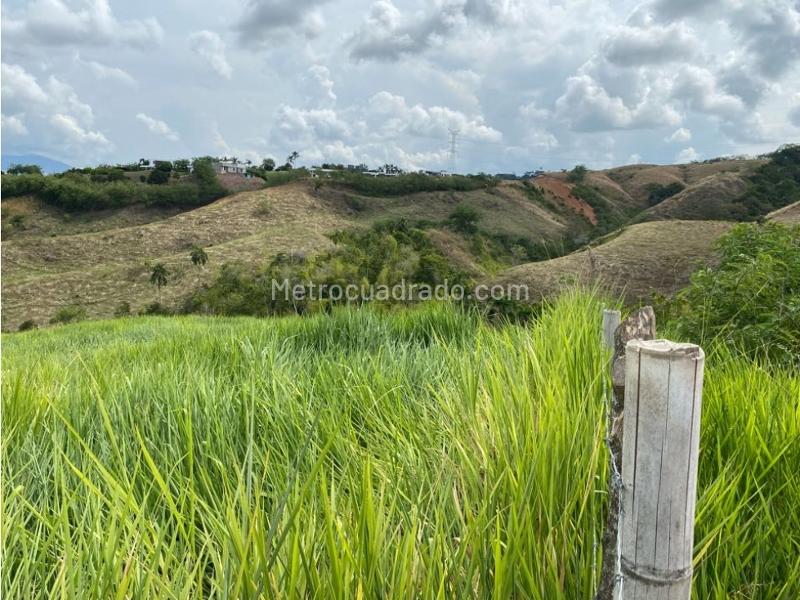 Lote en Venta, Cerritos, Pereira - Vista 2