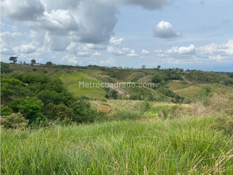 Lote en Venta, Cerritos, Pereira - Vista 3