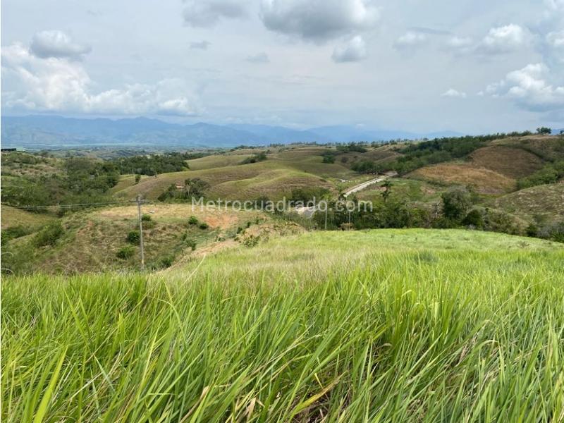 Lote en Venta, Cerritos, Pereira - Vista 4