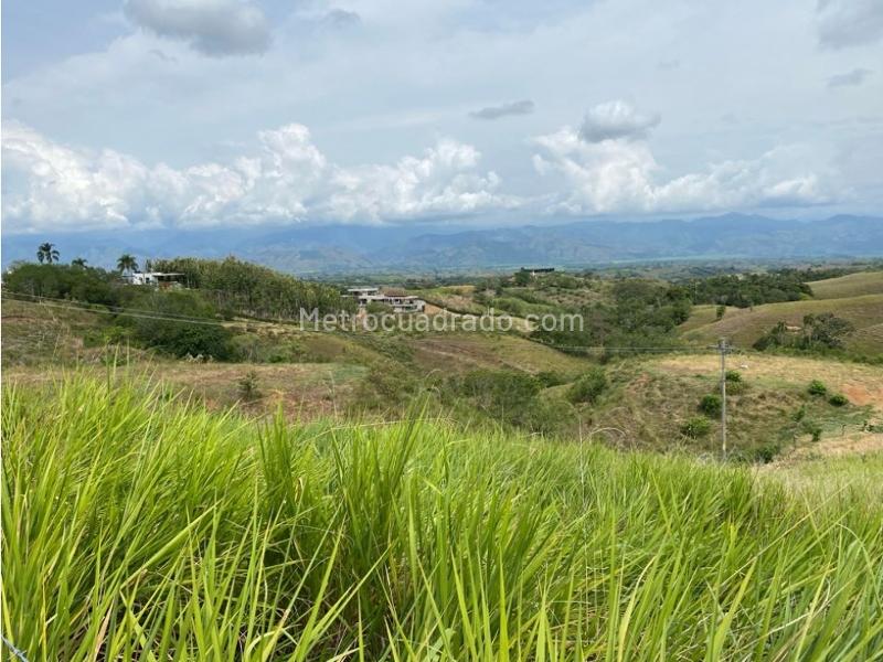 Lote en Venta, Cerritos, Pereira - Vista 5