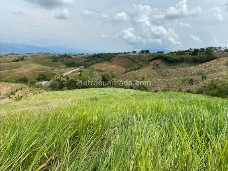 Lote en Venta, Cerritos, Pereira - Más