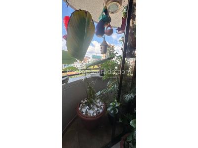 Apartamento en venta en Pinares, Pereira · foto 7 de 12