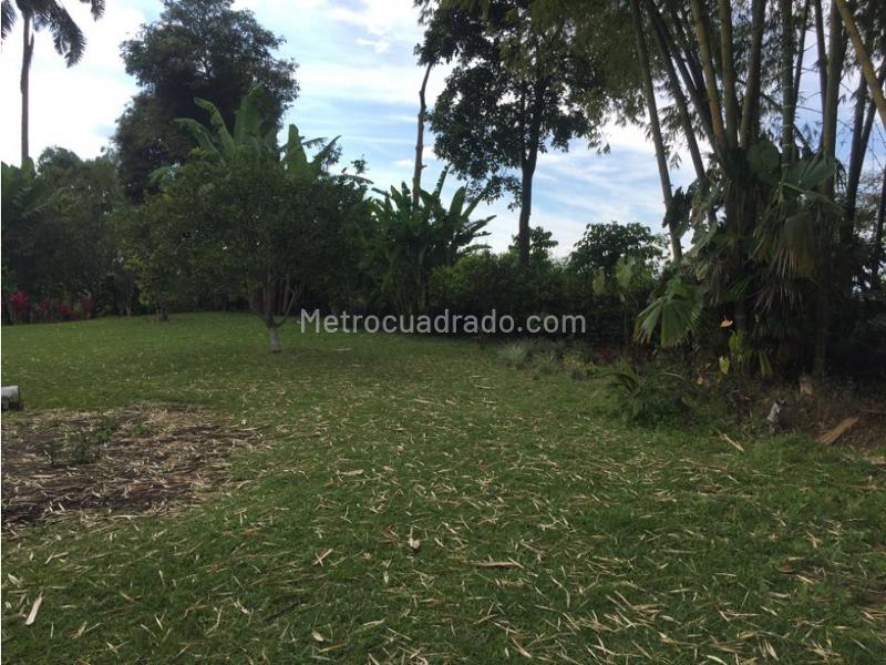 Lote en Venta, Condina, Pereira - Más