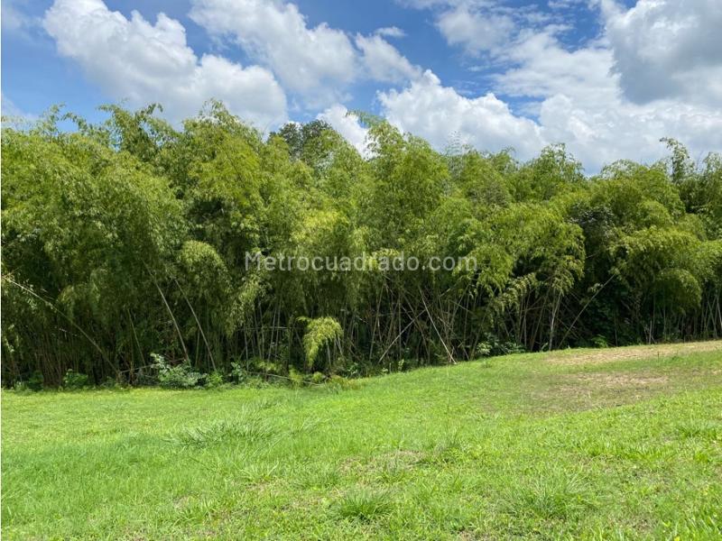 Lote en Venta, Cerritos, Pereira - Vista 5