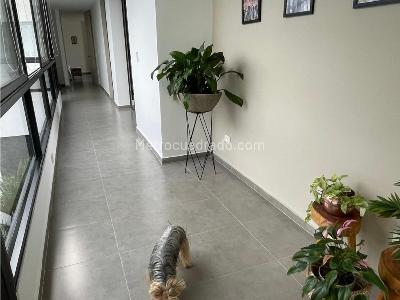 Casa en venta en Cerritos, Pereira · foto 6 de 20