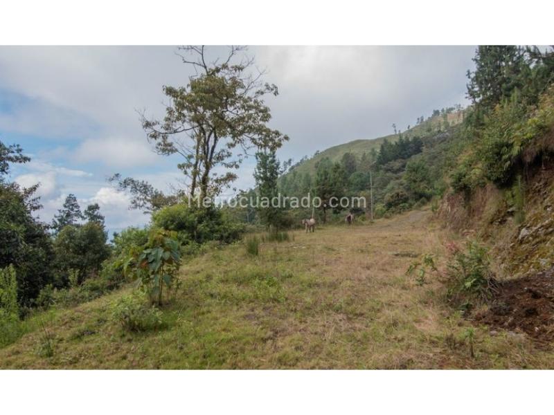 Lote en Venta, La Catedral, Envigado - Vista 2