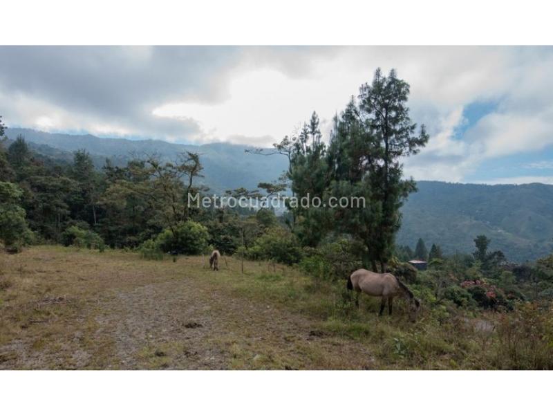 Lote en Venta, La Catedral, Envigado - Vista 3