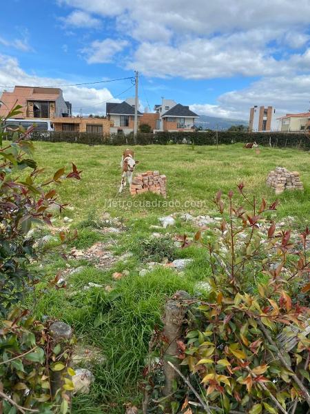 Lote en Venta, Cajicá - Vista 4