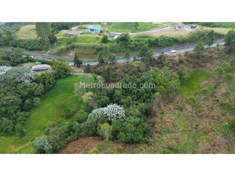 Lote en Venta, Condina, Pereira - Vista 2