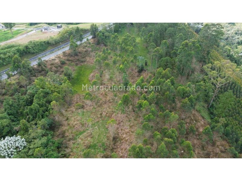 Lote en Venta, Condina, Pereira - Vista 3