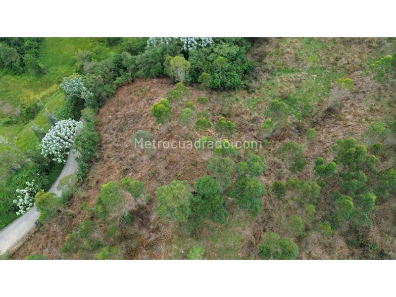 Lote en Venta, Condina, Pereira - Vista 4