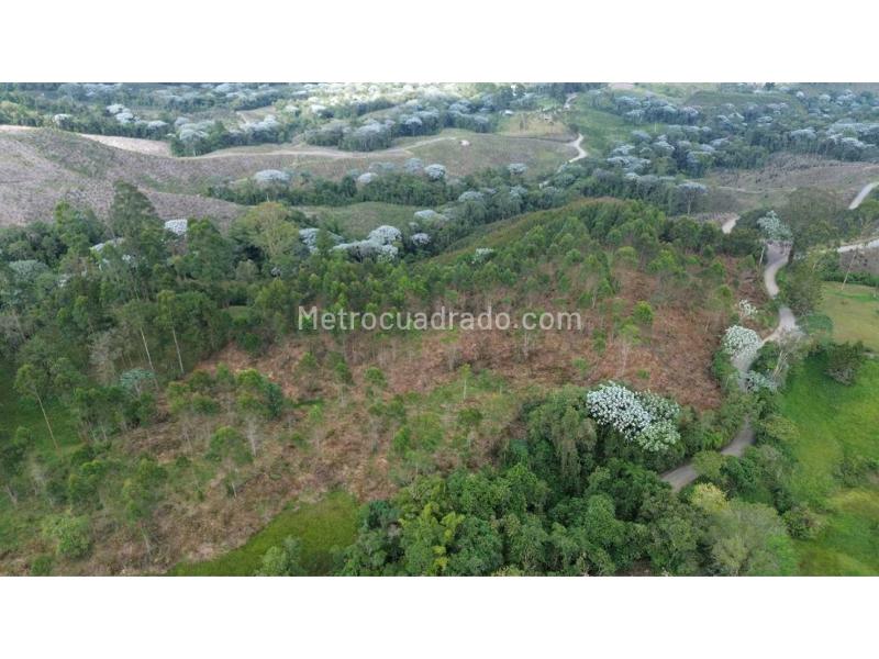 Lote en Venta, Condina, Pereira - Vista 5