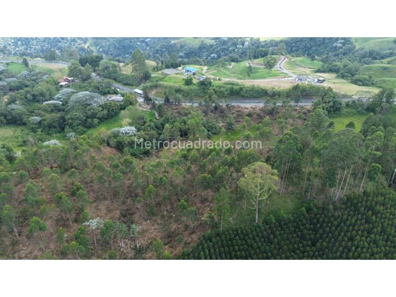 Lote en Venta, Condina, Pereira - Más