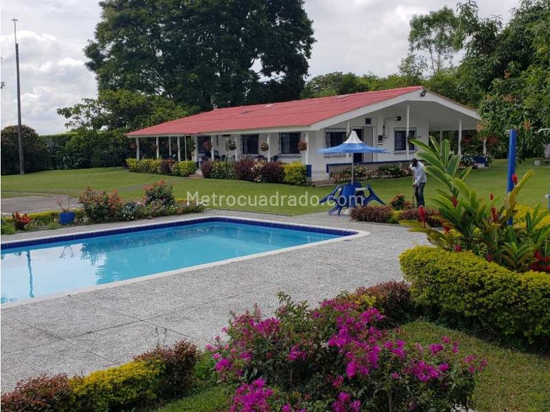 Casa – Pereira - Vista 5
