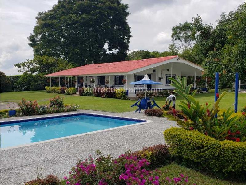 Casa – Pereira - Más