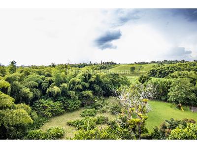 Casa en venta en El Tigre, Pereira · foto 14 de 20