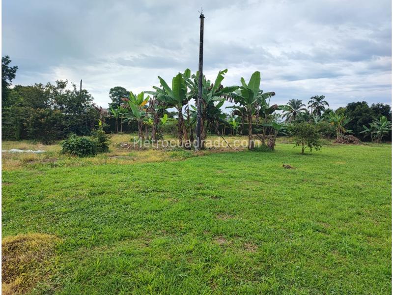 Lote en Venta, Cerritos, Pereira - Vista 3