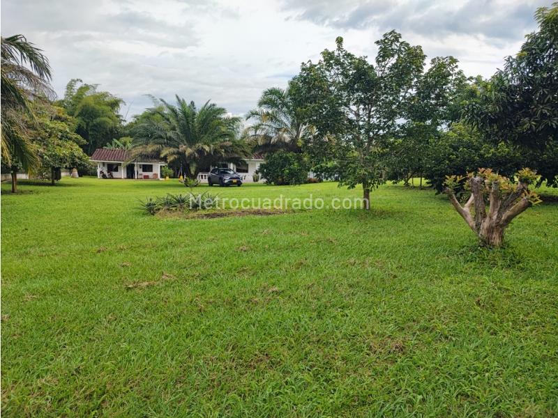 Lote en Venta, Cerritos, Pereira - Vista 4