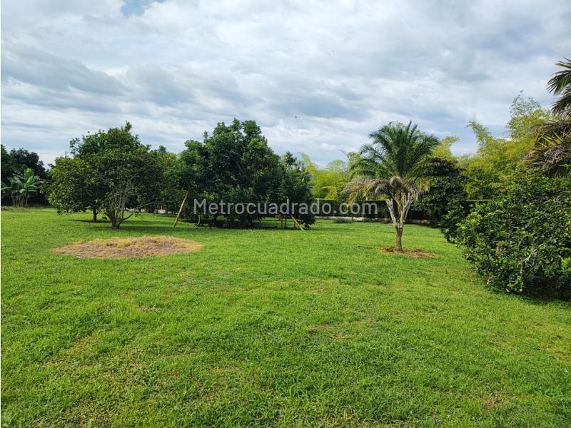 Lote en Venta, Cerritos, Pereira - Vista 5