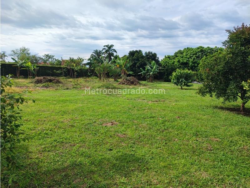 Lote en Venta, Cerritos, Pereira - Más