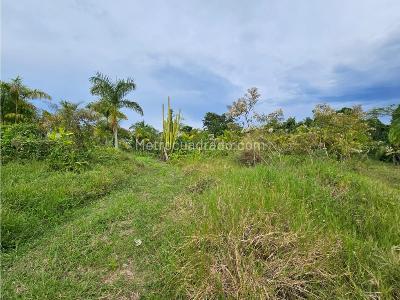 Casa de 3 alcobas en venta en Cerritos, Pereira, 106 m² · foto 12 de 13