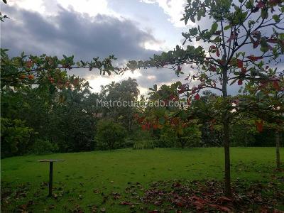 Casa en venta en Cerritos, Pereira · foto 11 de 16