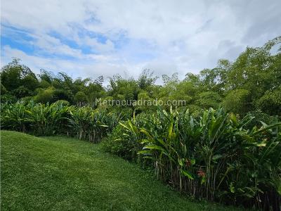 Casa de 4 alcobas en venta en Cerritos, Pereira, 500 m² · foto 4 de 20