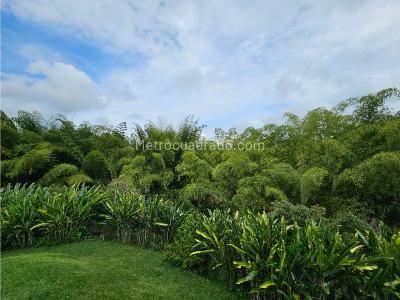 Casa de 4 alcobas en venta en Cerritos, Pereira, 500 m² · foto 16 de 20