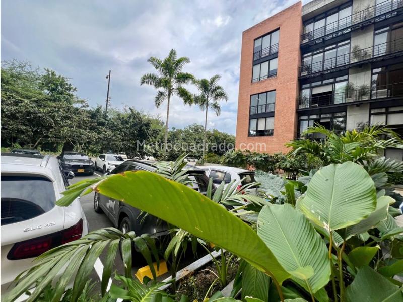 Oficina en Arriendo, Cerritos, Pereira - Vista 6