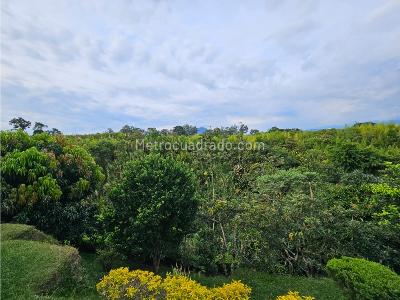 Casa en venta en Pueblito Cafetero, Pereira · foto 3 de 20