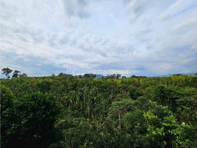 Casa en venta en Pueblito Cafetero, Pereira · foto 6 de 20