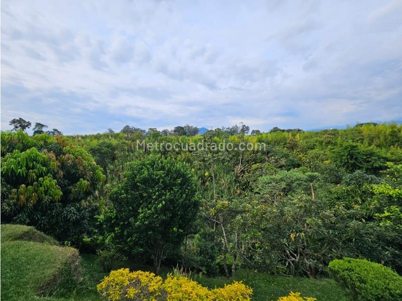 Casa – Pereira - Vista 4