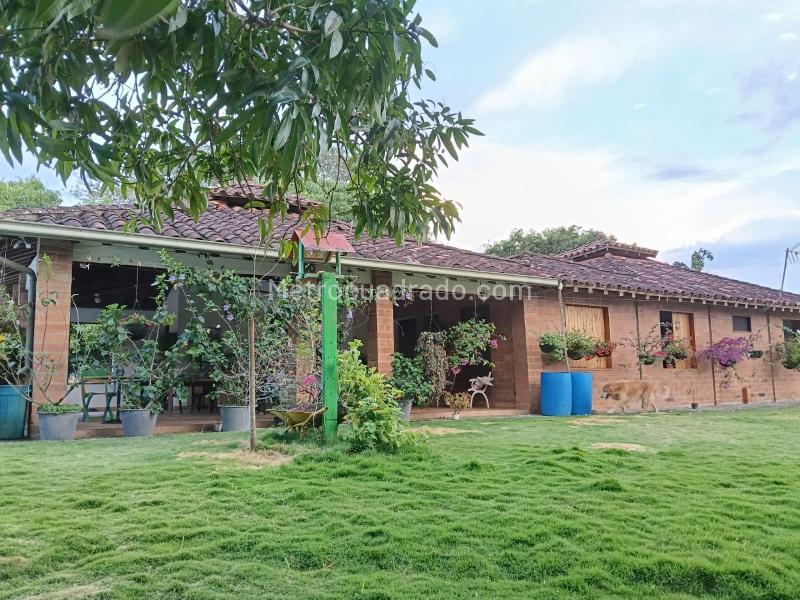 Finca en Venta, La Pintada - View 4