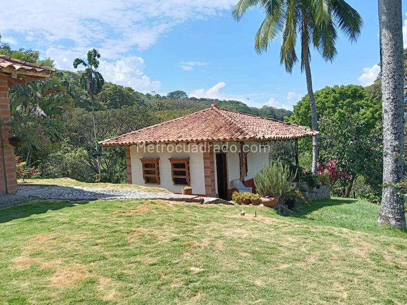 Finca en Venta, La Pintada - View 5
