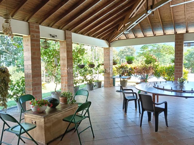 Finca en Venta, La Pintada - More