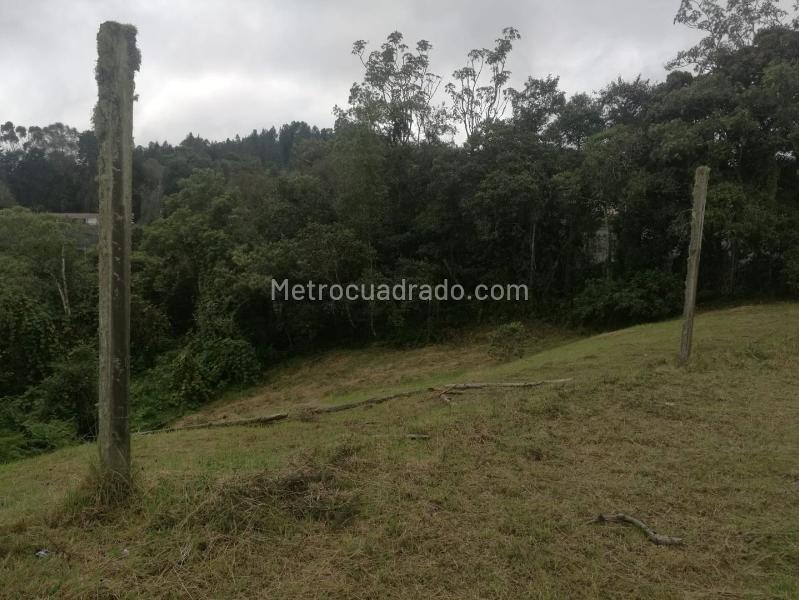 Lote en Venta, ALTO LAS PALMAS, Envigado - Vista 2