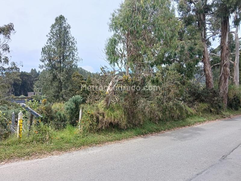 Lote en Venta, ALTO LAS PALMAS, Envigado - Vista 3