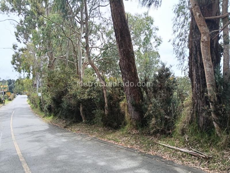Lote en Venta, ALTO LAS PALMAS, Envigado - Vista 5