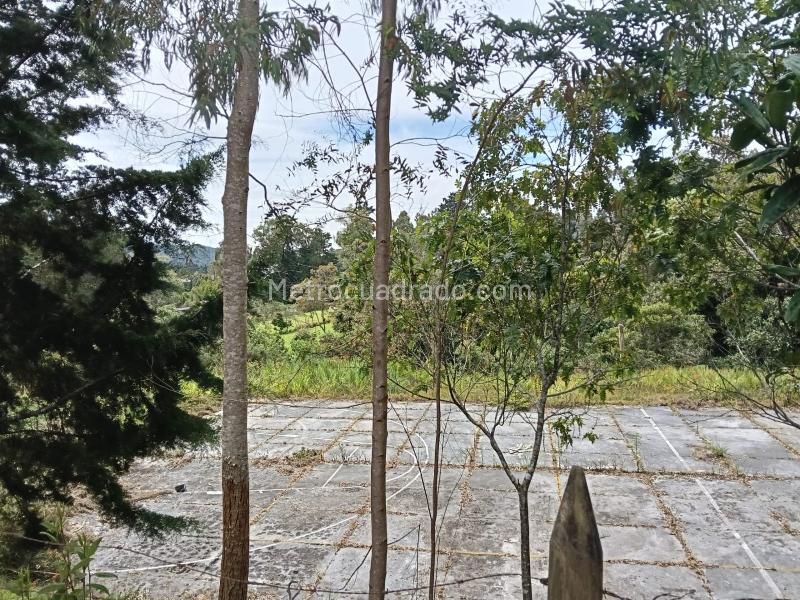 Lote en Venta, ALTO LAS PALMAS, Envigado - Más