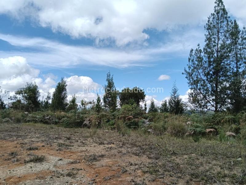 Lote en Venta, SANTA ELENA, Medellín - Vista 3