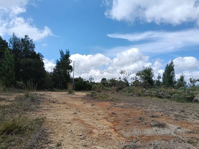 Lote en Venta, SANTA ELENA, Medellín - Vista 4