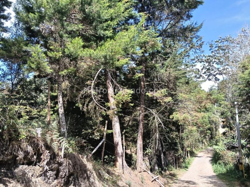Lote en Venta, SANTA ELENA, Medellín - Más